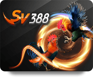 F168 Live Dealer Hot: Most Popular Game Variations